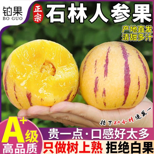 正宗石林人参果|树上熟清甜爆汁