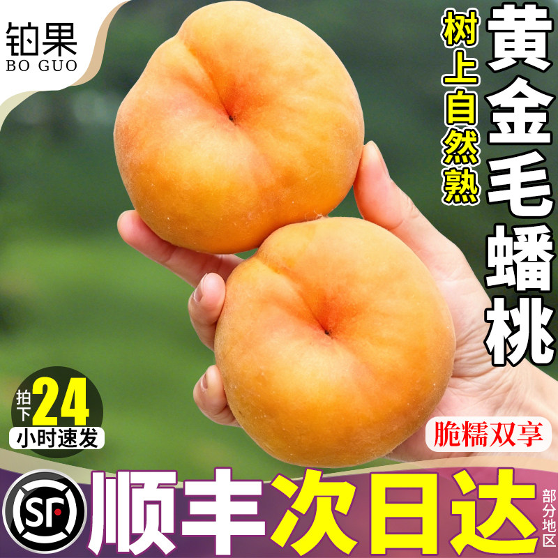 顺丰礼盒 5斤山东蒙阴黄金毛蟠桃当季水果时令桃子整箱黄桃包邮甜