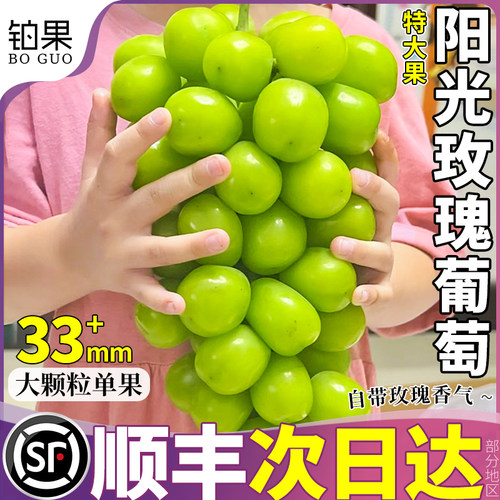 顺丰次日达丨鲜阳光玫瑰青提葡萄