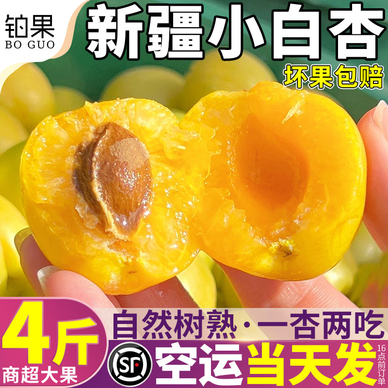 空运礼盒 4斤新疆轮台小白杏大杏子新鲜水果现摘吊干当季整箱包邮