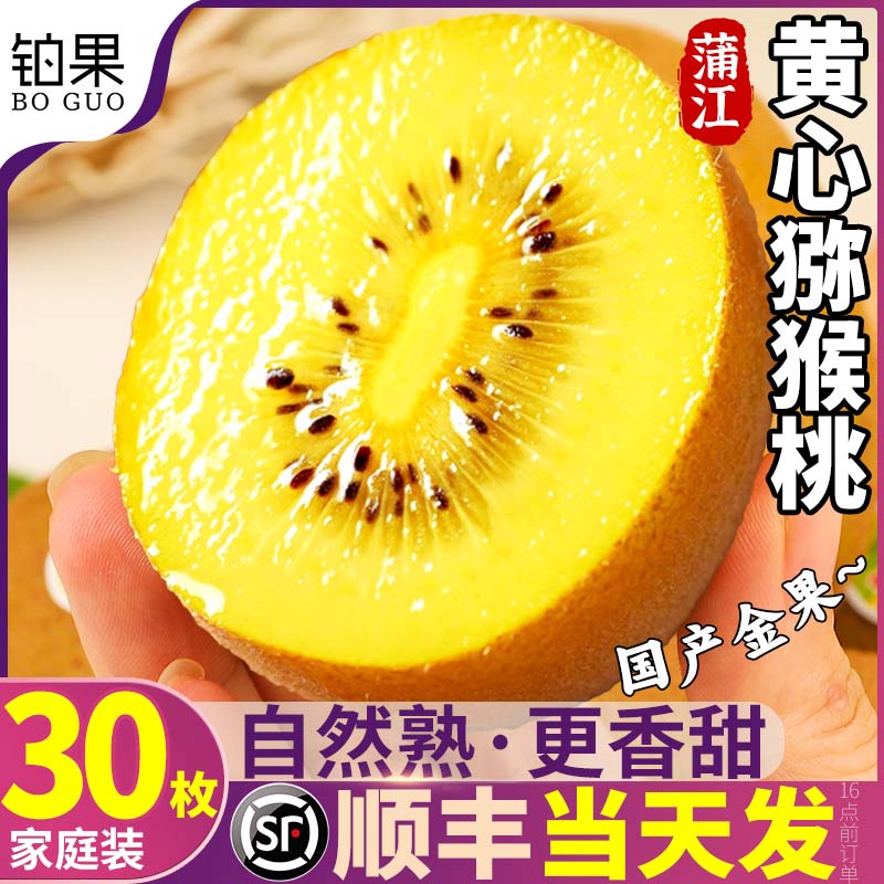顺丰次日达|黄心猕猴桃爆甜多汁
