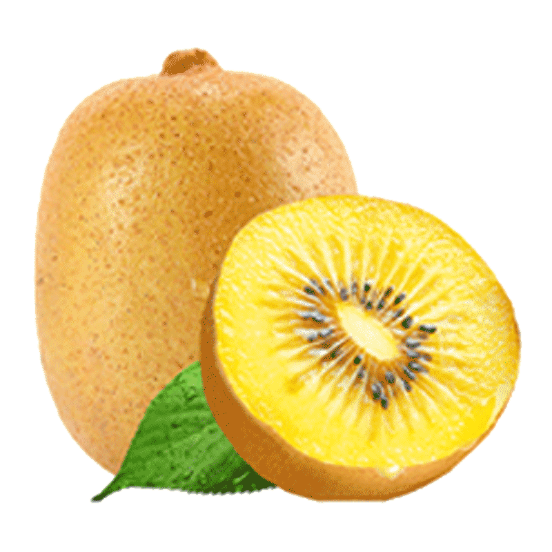 顺丰礼盒四川蒲江黄心猕猴桃新鲜包邮奇异果20粒金果当季整箱包邮