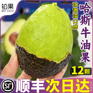 顺丰云南孟连哈斯牛油果新鲜水果即食一级鳄梨特大果12个整箱 包邮