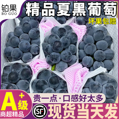 顺丰礼盒装丨5斤云南夏黑葡萄