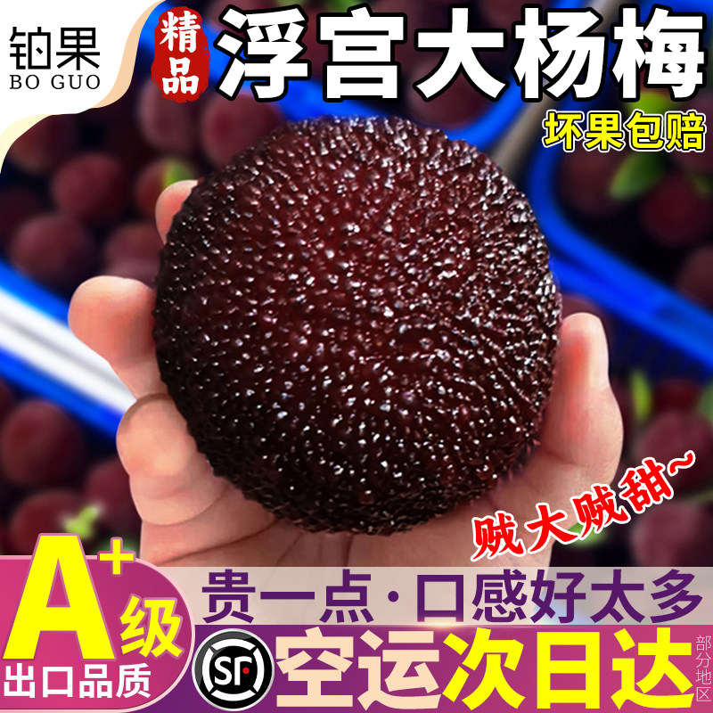 顺丰空运5斤正宗漳州浮宫特大杨梅鲜果现摘现发新鲜水果整箱包邮