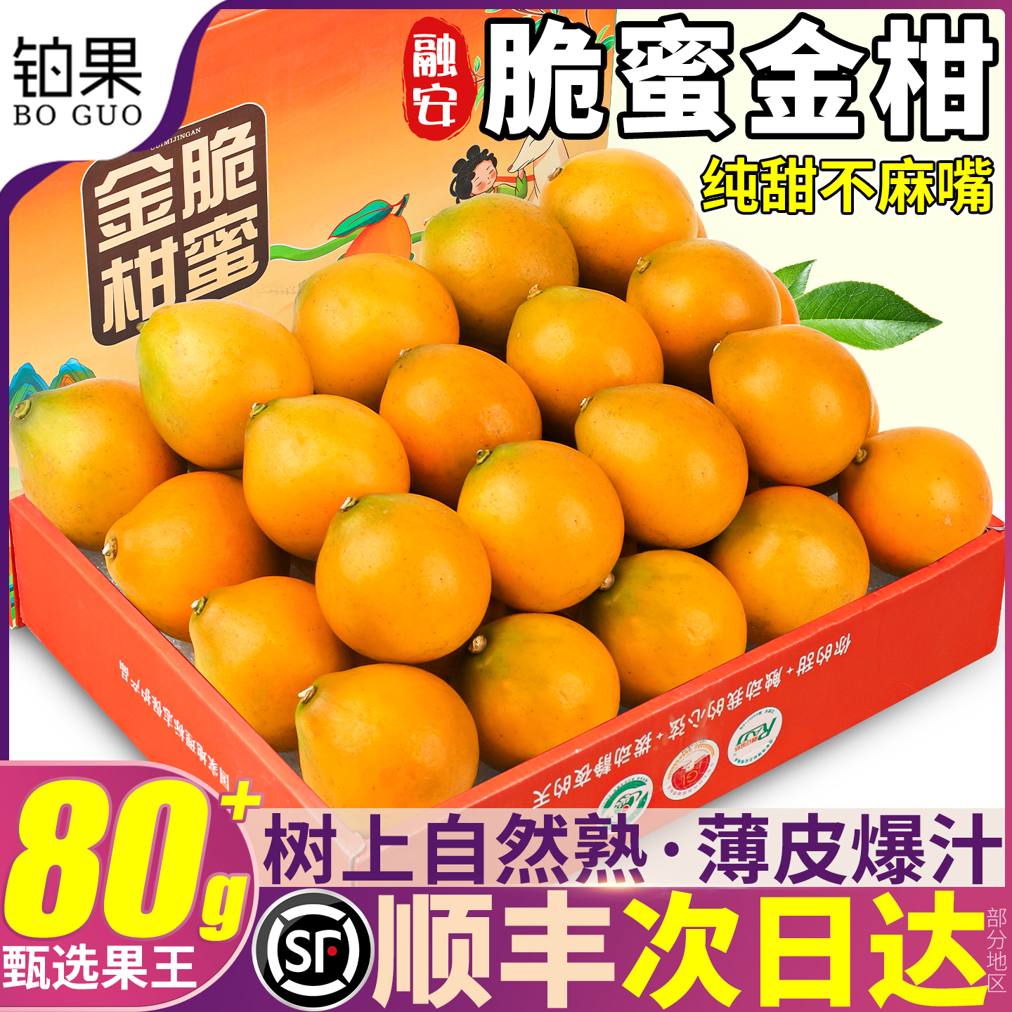 顺丰次日达丨5斤脆蜜金柑礼盒甜