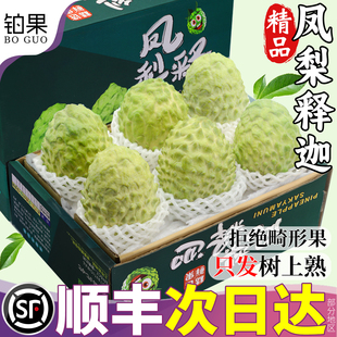 顺丰礼盒 5斤凤梨释迦果新鲜水果当季大果番荔枝林檎佛头牛奶包邮