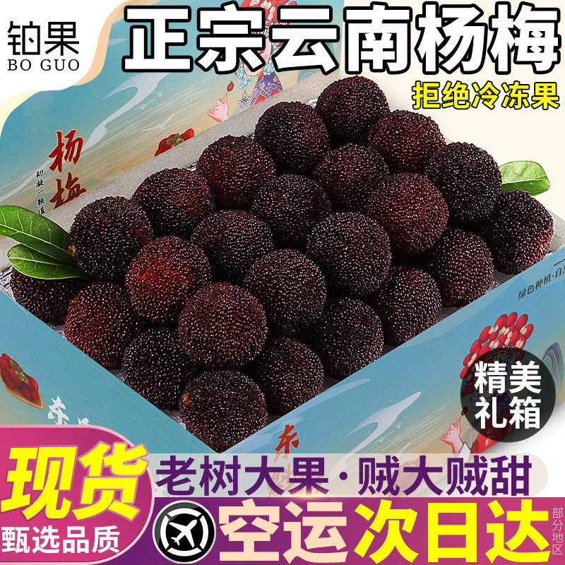 空运正宗云南杨梅5斤新鲜现摘现发特大鲜果当季整箱水果包邮孕妇9