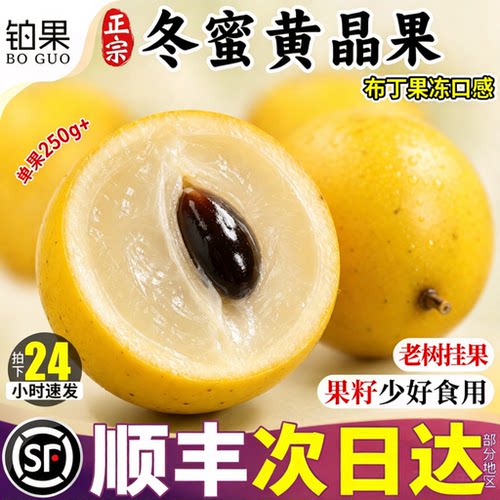 【水果燕窝】顺丰A+级冬蜜黄晶果