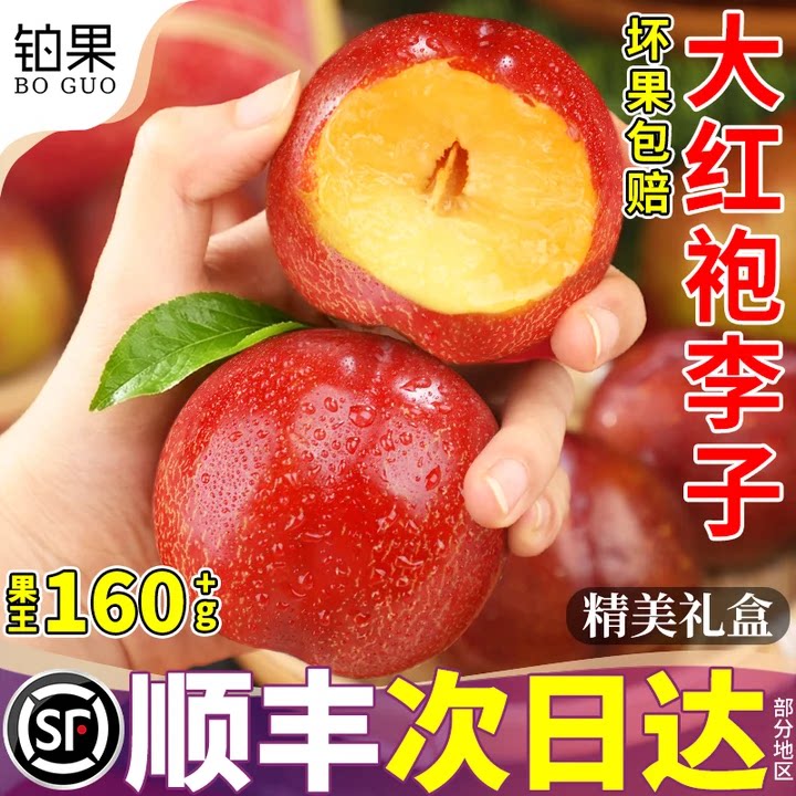 顺丰礼盒丨大红袍李子丨坏果包赔