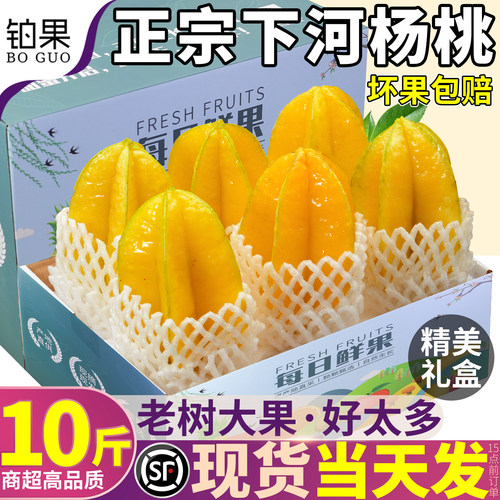 顺丰次日达树上熟下河甜杨桃10斤