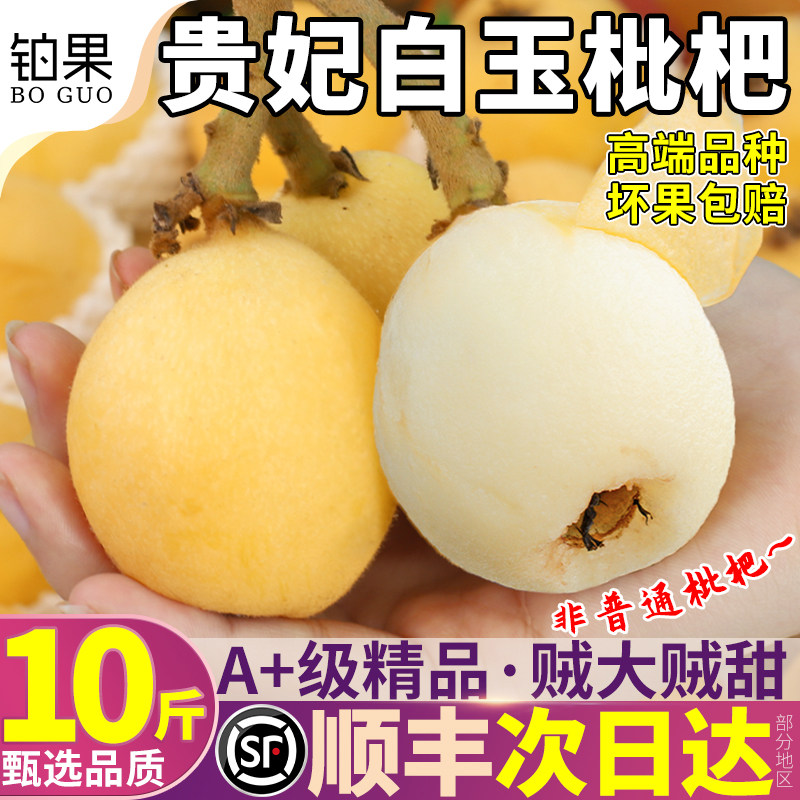 莆田白玉枇杷鲜果10斤整箱特大果当季非苏州东山白沙琵琶顺丰包邮