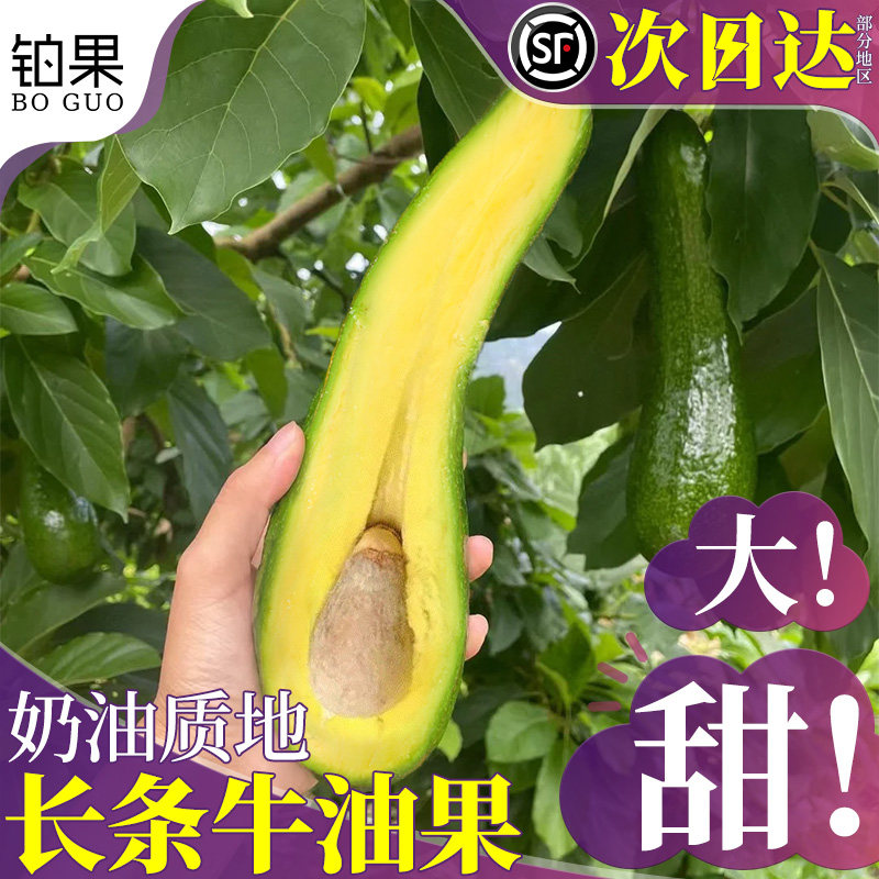 顺丰次日达|稀有品种-长条牛油果
