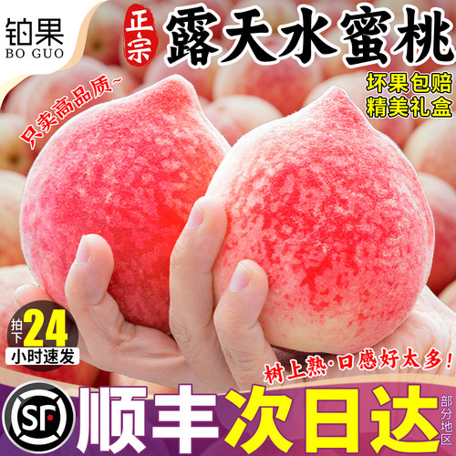 顺丰次日达丨5斤山东水蜜桃礼盒