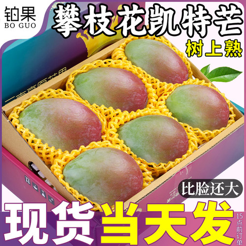当天发！树上熟凯特芒精品礼盒装