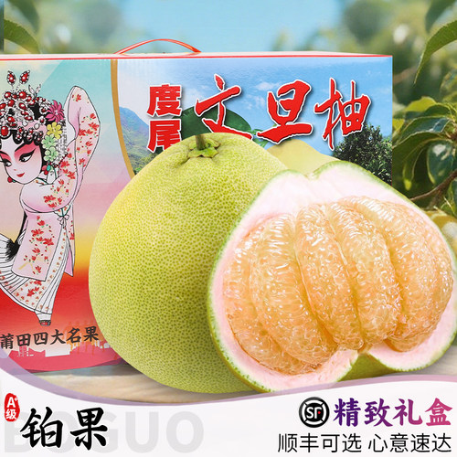 顺丰当天发|度尾文旦柚|高端礼盒