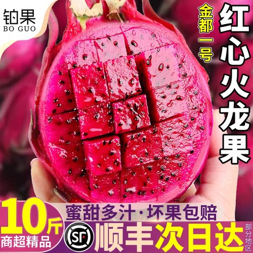 顺丰金都一号单果1斤+更大更香甜