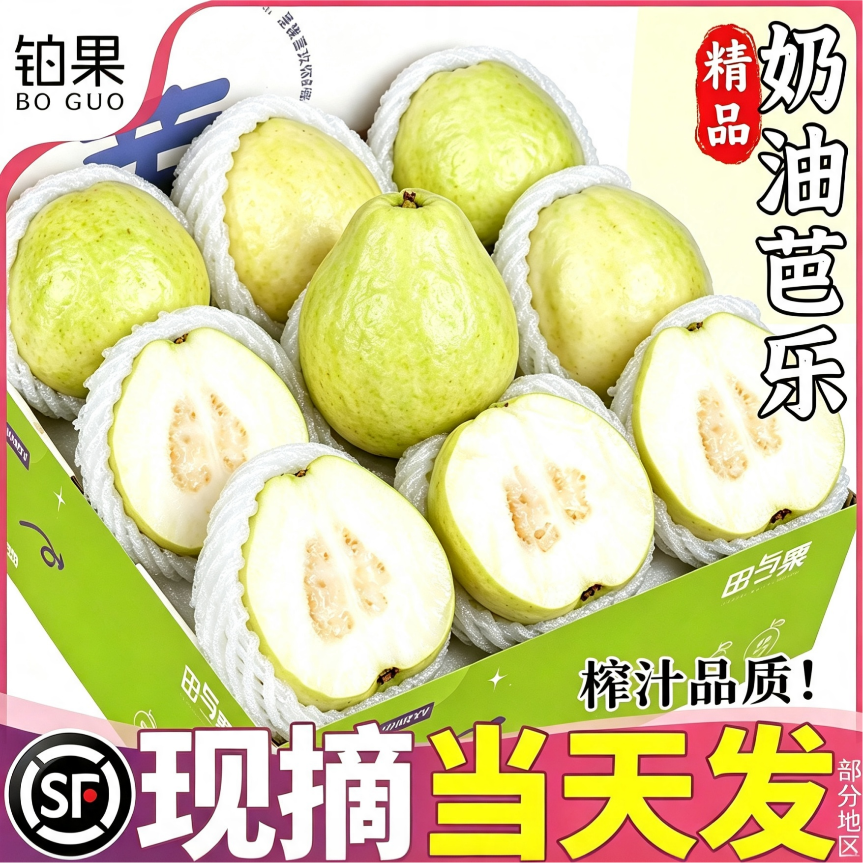 顺丰果王礼盒丨可榨汁厚肉白芭乐