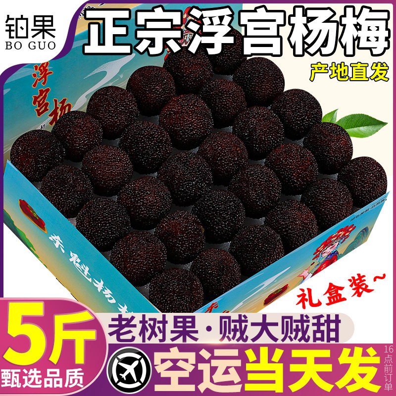 顺丰空运5斤漳州浮宫大杨梅鲜果新鲜现摘现发当季颗粒装整箱包邮