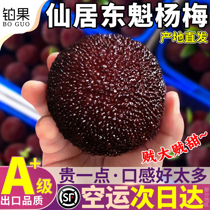 顺丰空运5斤仙居东魁大杨梅鲜果120颗现摘现发新鲜水果整箱包邮甜