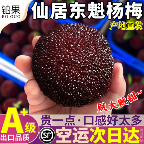 空运次日达丨仙居东魁杨梅120颗
