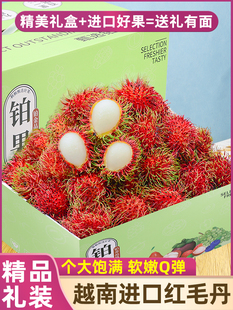 顺丰大果 5斤越南红毛丹进口当季 新鲜红牡丹热带水果毛荔枝整箱