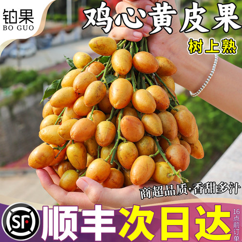 顺丰次日达丨现摘精选老树黄皮果