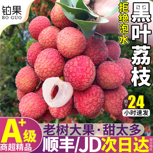 现货丨顺丰次日达丨老树荔枝礼盒