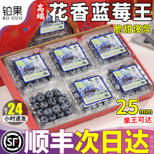 顺丰礼盒山东蓝莓新鲜水果花香特大高山莓果当季怡颗鲜果整箱包邮