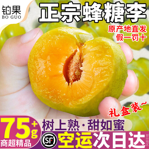 空运次日达丨一码一溯源丨蜂糖李