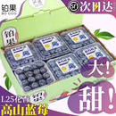 包邮 怡颗鲜果整箱 甜 云南蓝莓新鲜水果12盒花香特大莓果当季 顺丰
