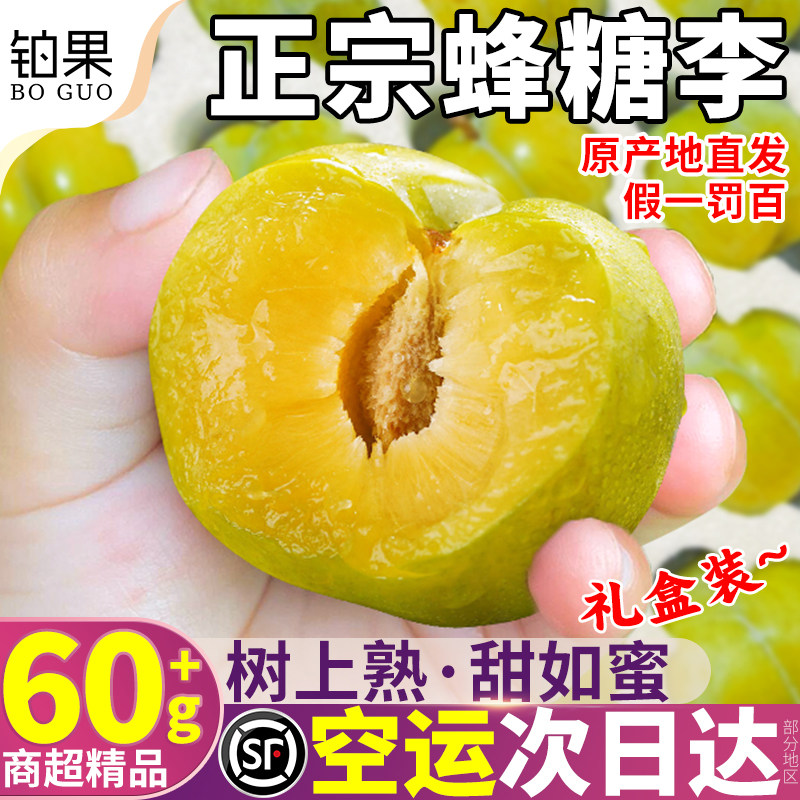 空运礼箱贵州六马蜂糖李5斤正宗鲜果特大脱骨李子当季整箱包邮甜9
