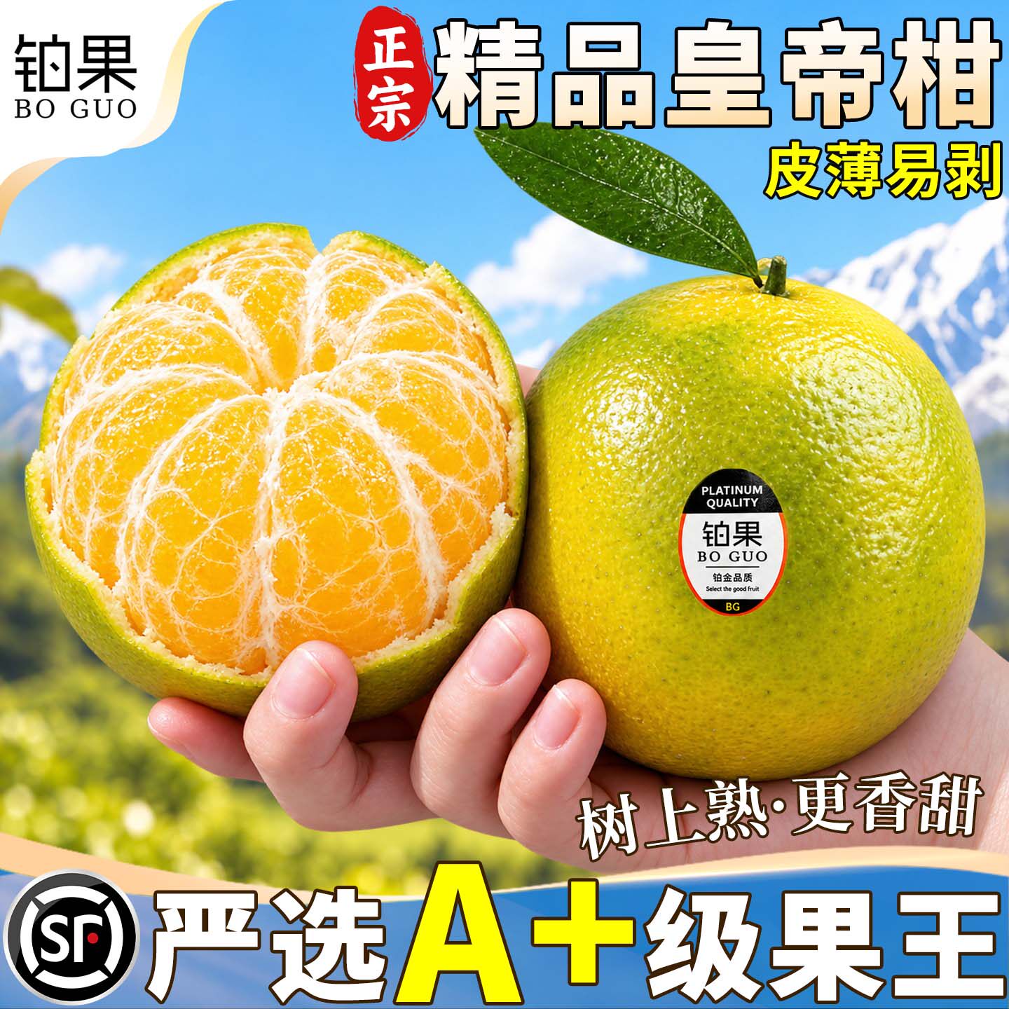现货当天发丨正宗皇帝柑礼盒9斤