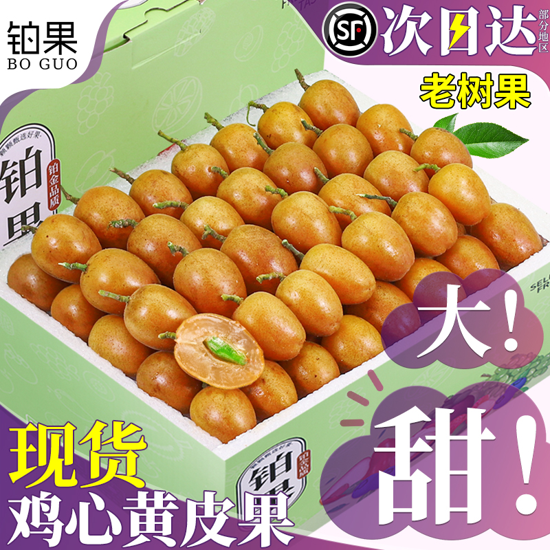 顺丰礼盒现摘鸡心黄皮果当季尝鲜