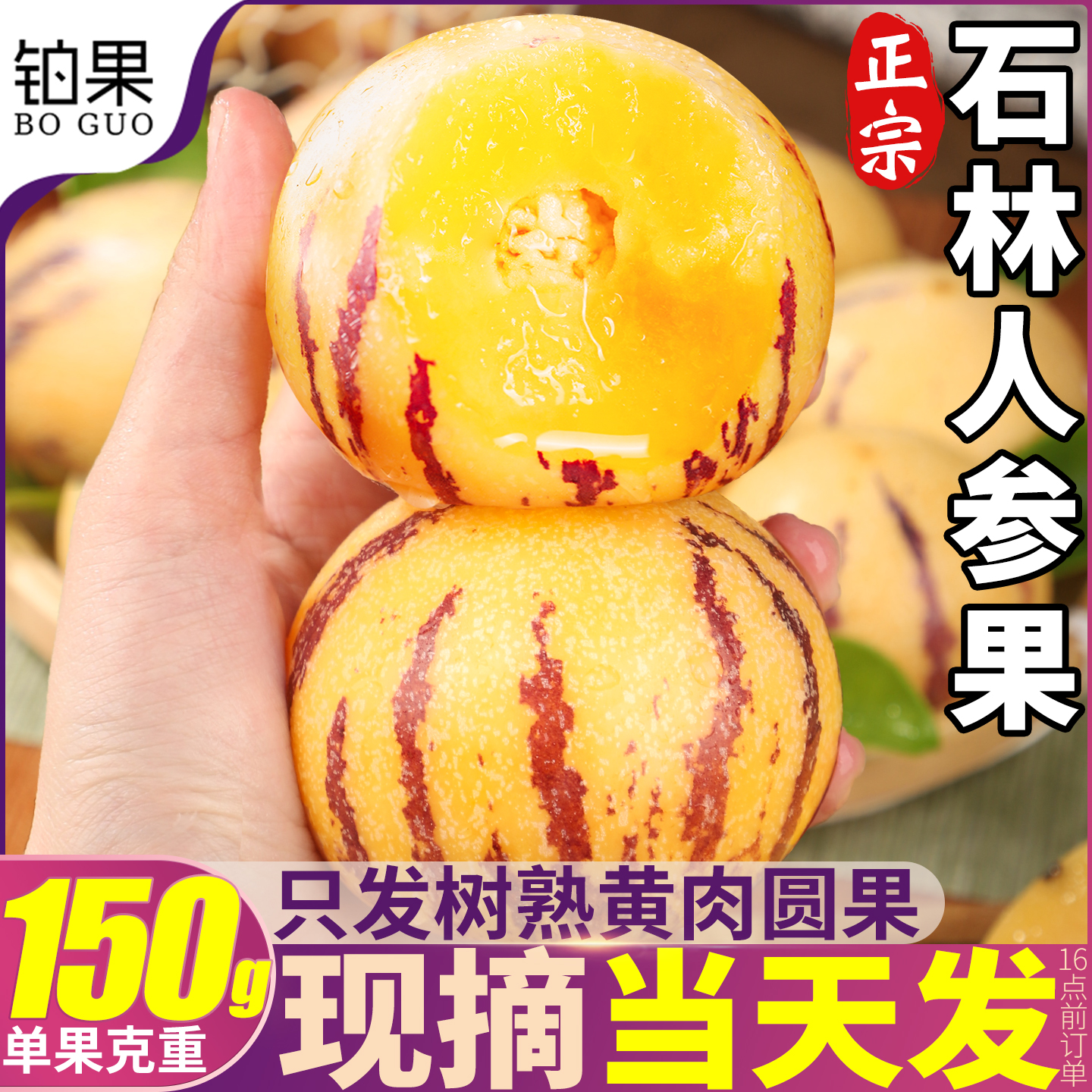 现摘当天发丨10斤黄肉圆果人参果