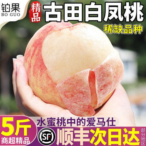顺丰次日达丨5斤古田白凤水蜜桃