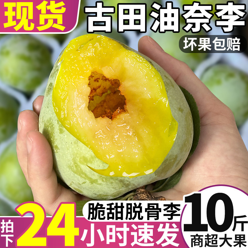 商超大果！树上熟正宗古田油奈李