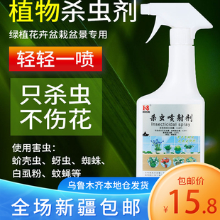 包邮 新疆 花卉植物杀虫剂家用室内无毒无味喷雾药虫卵双杀蚧壳蚜虫