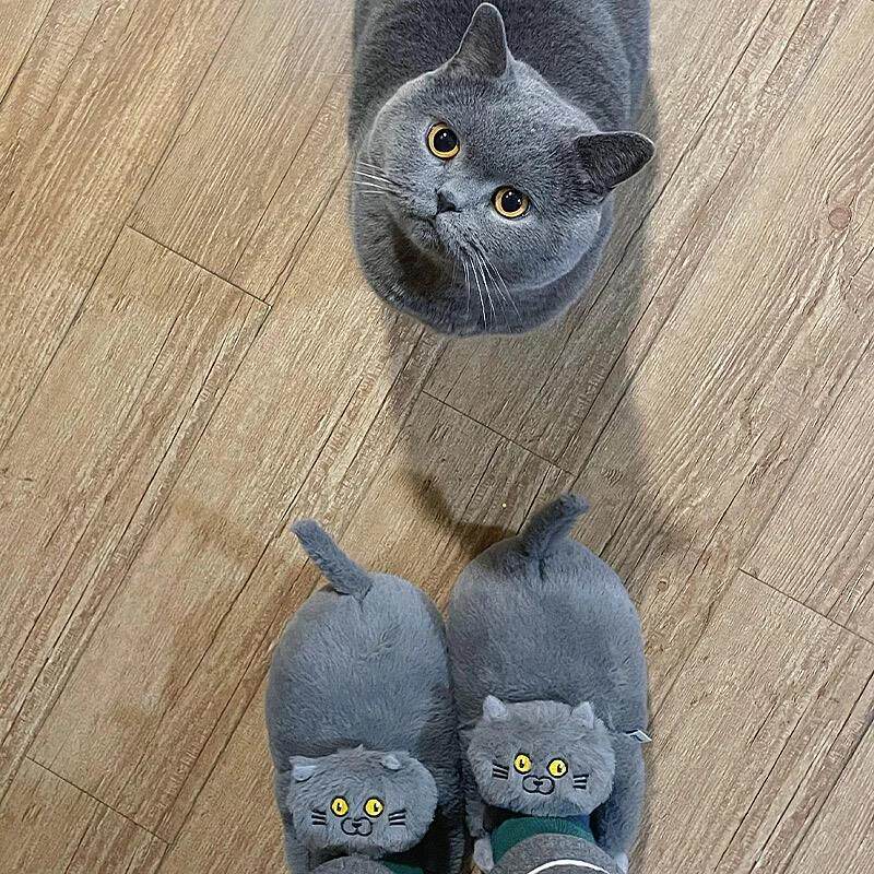 蓝猫拖鞋撸猫感毛绒棉拖鞋室内家居情侣可外穿防滑半包跟棉鞋保暖