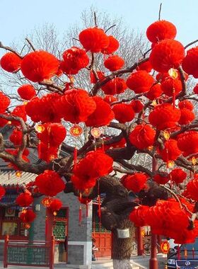 10pcs Chinese New Year Decoration Red Lantern Newyear Dragon