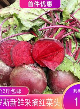 包邮俄罗斯红菜头苏伯汤罗宋汤红菜汤甜菜汤料甜菜