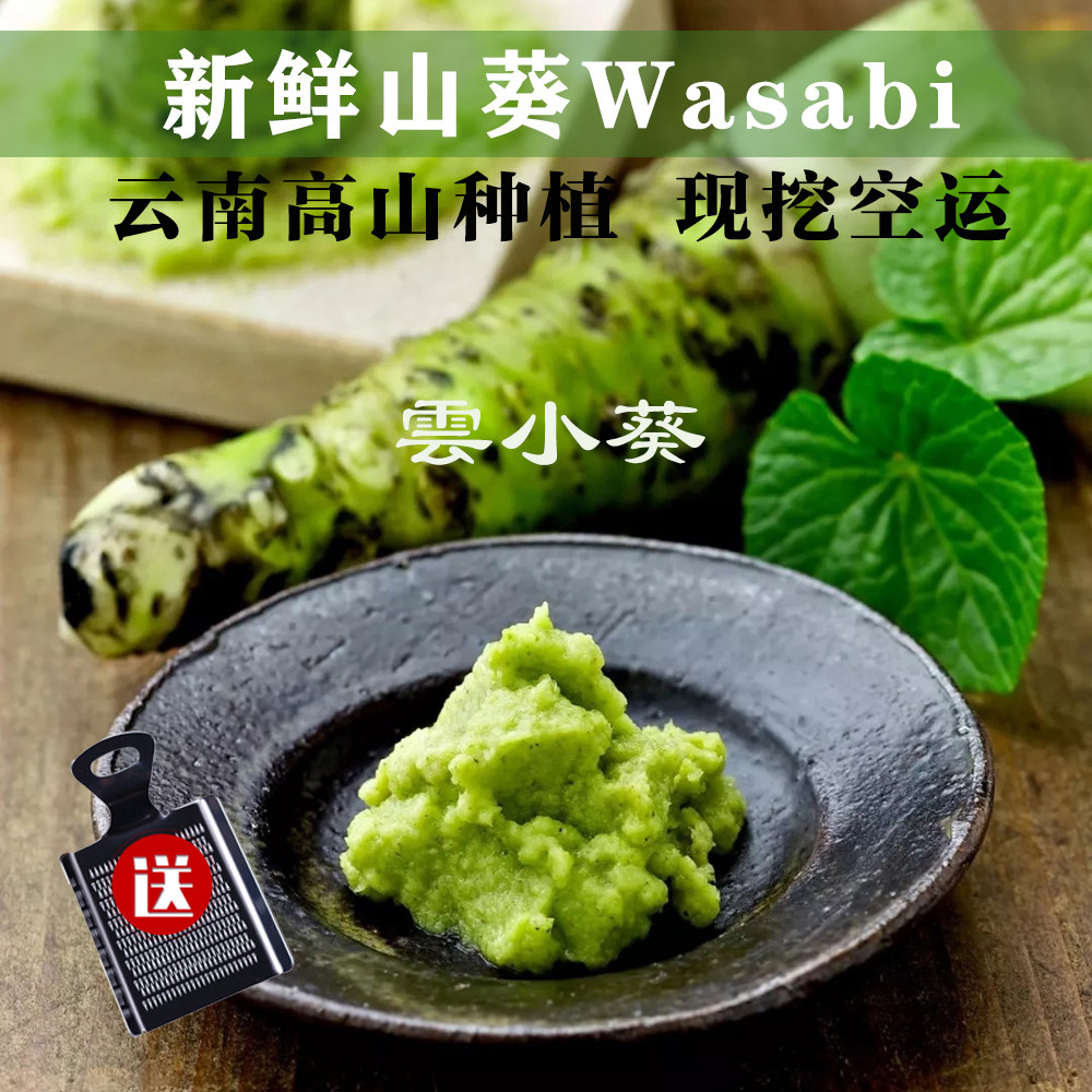 山葵新鲜80g(2-4根)送工具3天内发货 芥末山葵辣根料理寿司调味