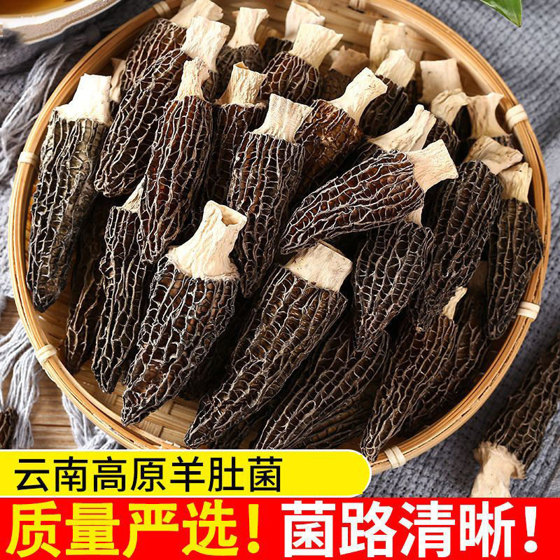 山姆冠名云南羊肚菌干货煲汤食材羊肚菌食用菌新鲜菌菇干净