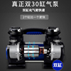 vehicle Air pump Double cylinder automobile cross-country multi-function portable 12v tyre blast pump high pressure high-power