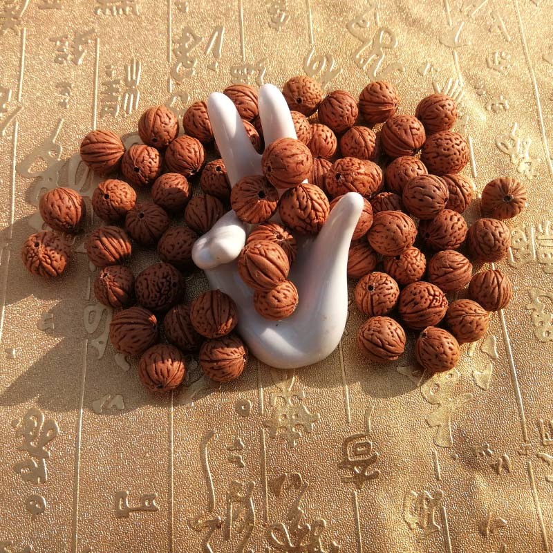 ÁúÎÆµñ¿Ì