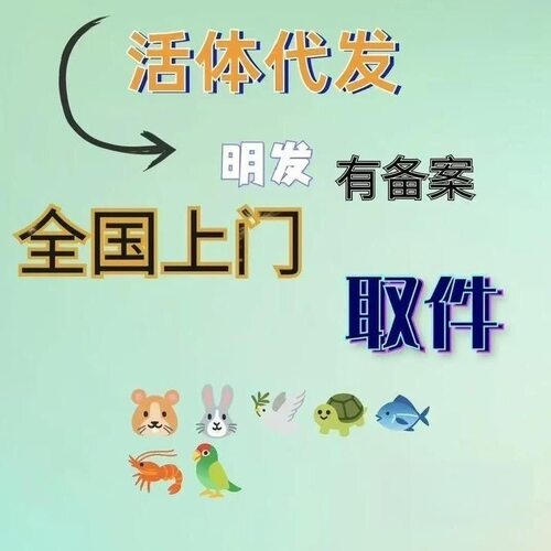 活体代寄顺丰京东乌龟鹦鹉鱼活物兔仓鼠守宫快递上门取件宠物代发 - 封面