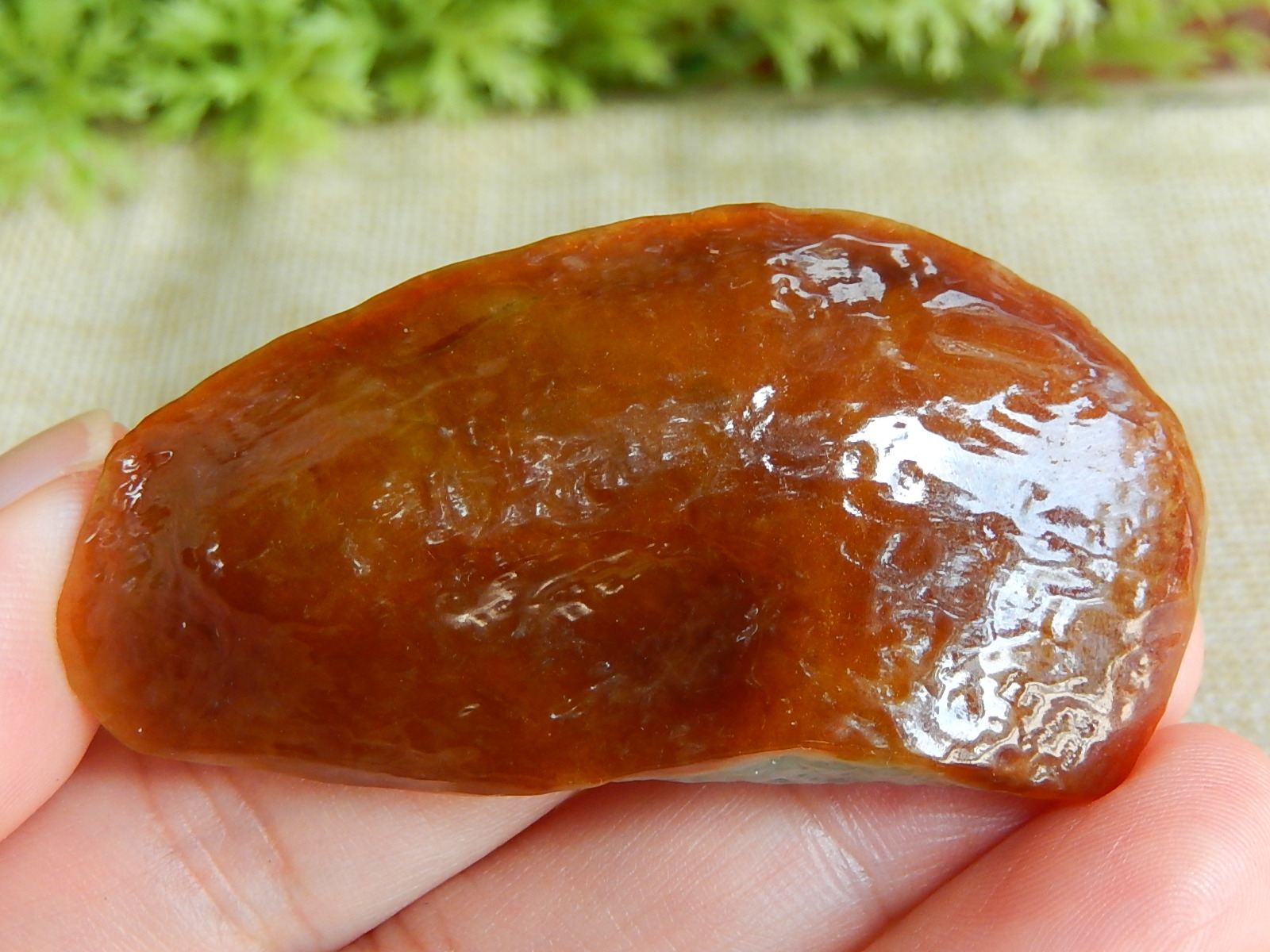缅甸A货翡翠原石明料玉石毛料老坑大马坎红翡料子边角料挂件F7303
