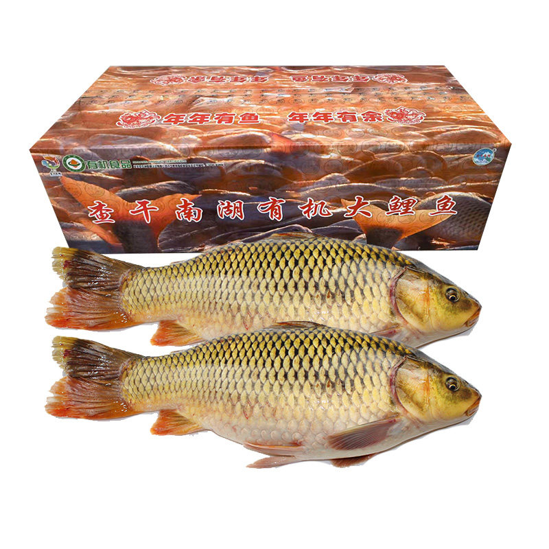 查干湖有机大鲤鱼9斤整箱年货节年礼节送礼盒,水产肉类/新鲜蔬果/熟食,淡水鱼类,淘宝优惠券,粉丝福利购,淘宝优惠卷