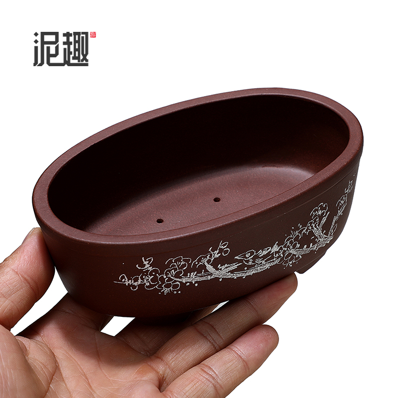 〔长青〕宜兴紫砂花盆古典菖蒲多肉微型万象盆景手工紫泥椭圆盆