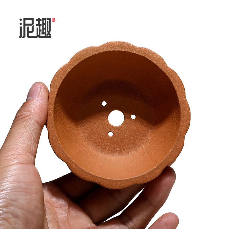 〔长青〕宜兴紫砂花盆古典菖蒲多肉微型万象盆景手工段泥浅菱花盆